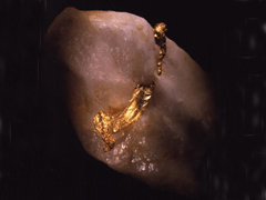자연 금(native gold) 사진