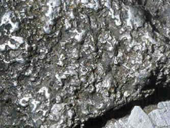 자연 백금(native platinum) 사진
