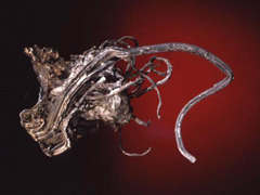 자연 은(native silver) 사진
