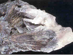 침상니켈석(millerite) 사진