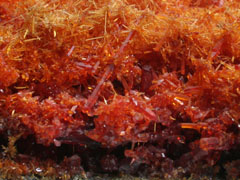 홍아연석(zincite) 사진