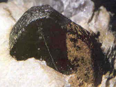 콜럼바이트(columbite) 사진