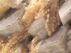 능고토석(magnesite) 사진