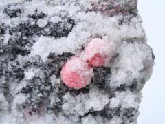 능망간석(rhodochrosite) 사진