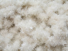 석고-2(gypsum) 사진