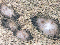 규선석(sillimanite) 사진