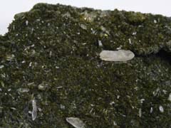 녹염석-2(epidote) 사진