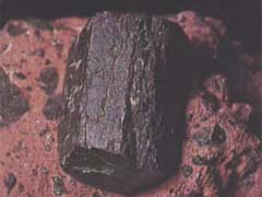 보통 각섬석(common hornblend) 사진