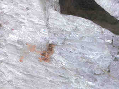 규회석(wollastonite) 사진