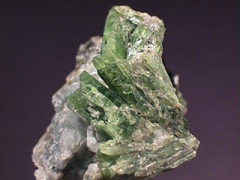 투각섬석(tremolite) 사진