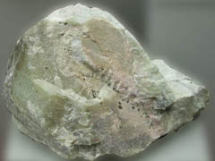 투각섬석(tremolite) 사진