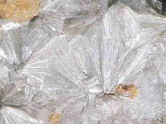 엽랍석(pyrophyllite) 사진