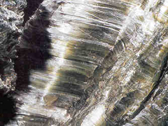 온석면(chrysotile) 사진