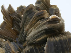 흑운모(biotite) 사진