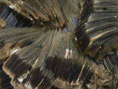 흑운모(biotite) 사진