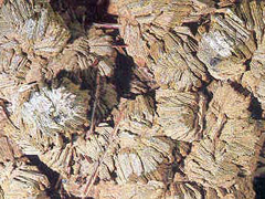 질석(vermiculite) 사진