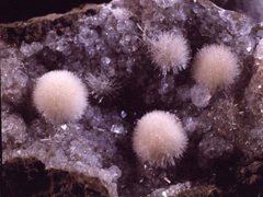 소다불석(natrolite) 사진