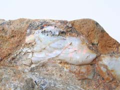 단백석(opal) 사진
