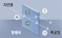 복굴절에 의한 빛의 경로