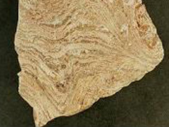 유문암(rhyolite) 사진