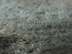 부석(pumice) 사진