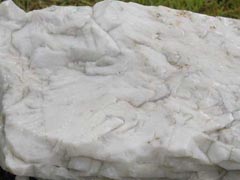 석회암-2(limestone) 사진