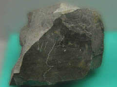 석회암-2(limestone) 사진