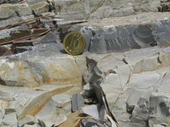 처트(chert) 사진