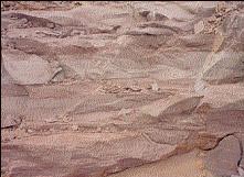 사암(sandstone) 사진