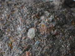 장석질사암(feldspathic sandstone) 사진