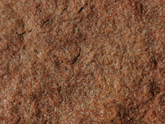 적색사암(red sandstone) 사진