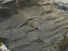 셰일-1(shale) 사진