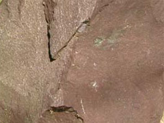 셰일-1(shale) 사진