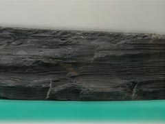 셰일-1(shale) 사진