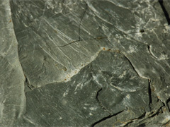 셰일-2(shale) 사진