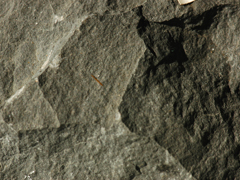 셰일-2(shale) 사진