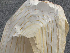 이암(mudstone) 사진