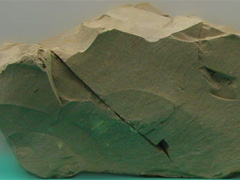 이암(mudstone) 사진