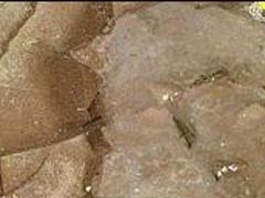 이암(mudstone) 사진
