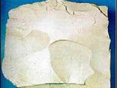 석회암-1(limestone) 사진