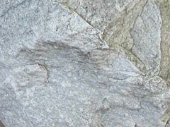 대리암(marble) 사진