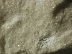 대리암(marble) 사진