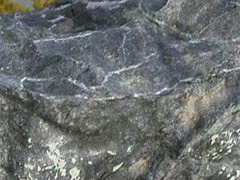 석탄(coal) 사진