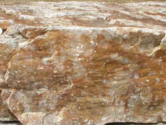 규암-1(quartzite) 사진