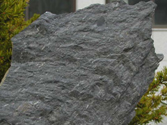 편암-2(schist) 사진