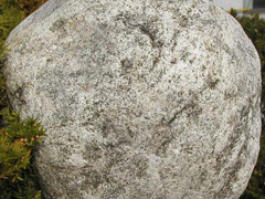 편마암-1(gneiss) 사진