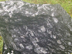 안구편마암(augen gneiss) 사진